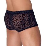 Noir Sheer Animal Print Pants - Image 2