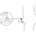 Nexus Forge Lasso Adjustable Cockring - Image 4