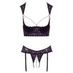 Cupless and Crotchless Bra Set - Image 3