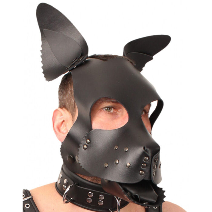 The Red Leather Puppy Dog Mask - Image 1