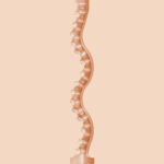 Maitland Ward Butt Fleshlight Girls Masturbators - Image 4