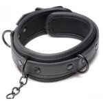 Master Series Collared Temptress - Image 4