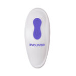 Evolved Anywhere Vibe - Image 4