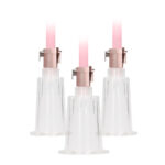 Pumped Clitoral and Nipple Pump Set - Image 2