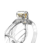 Rimba PCage PC08 Medium Transparent - Image 2