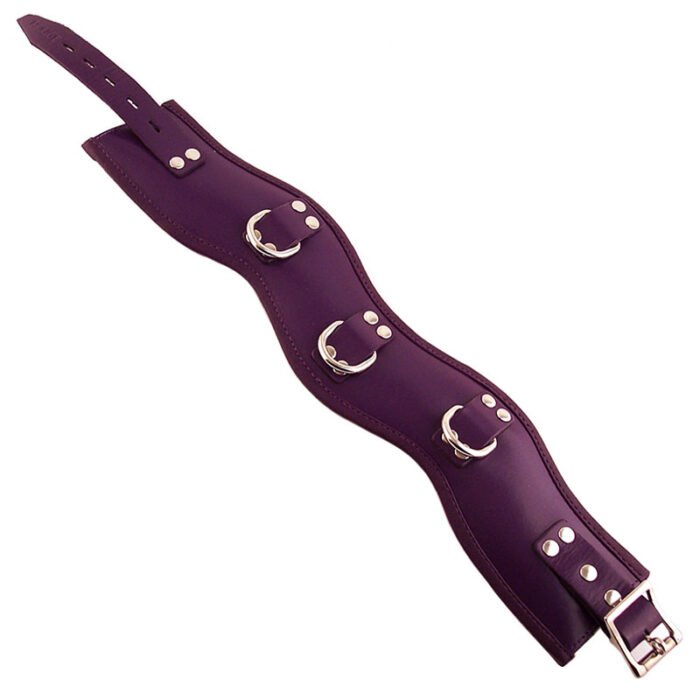 Rouge Garments Purple Padded Posture Collar - Image 1